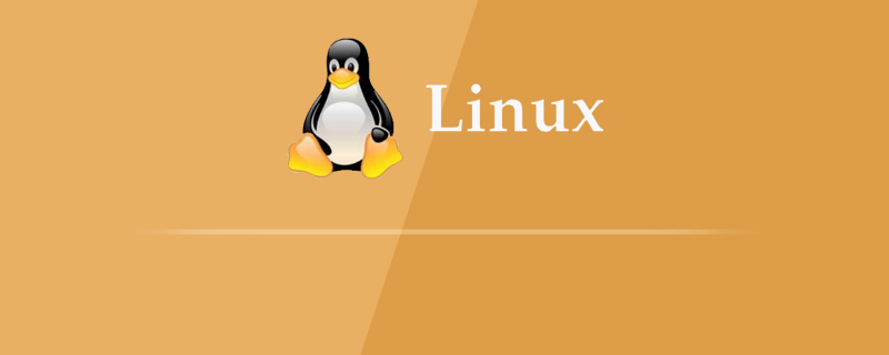 大白菜安装linux教程图解