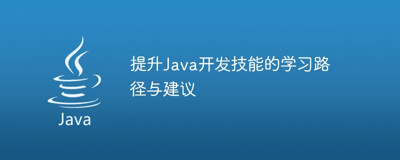 提升Java开发技能的学习路径与建议