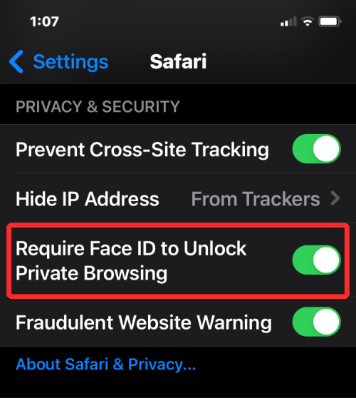 2023年指南：如何在 iPhone Safari 上关闭隐私浏览模式