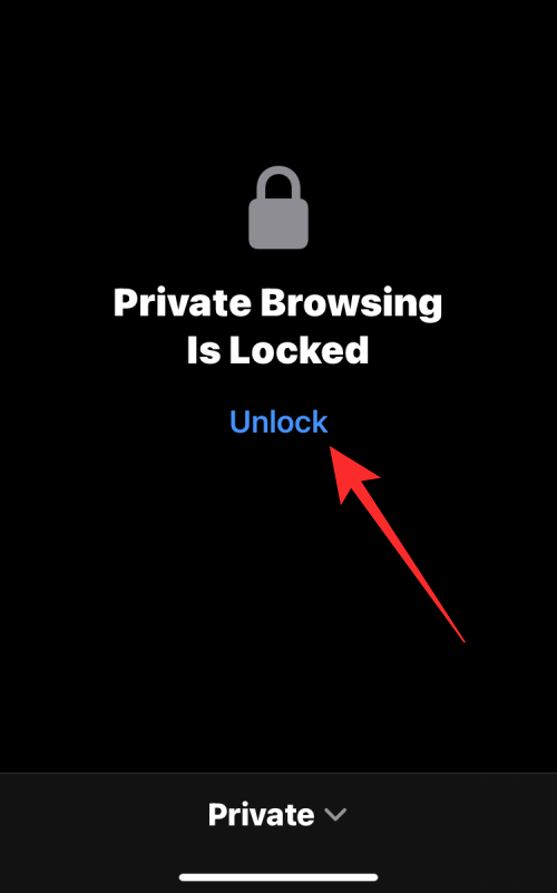 2023年指南：如何在 iPhone Safari 上关闭隐私浏览模式