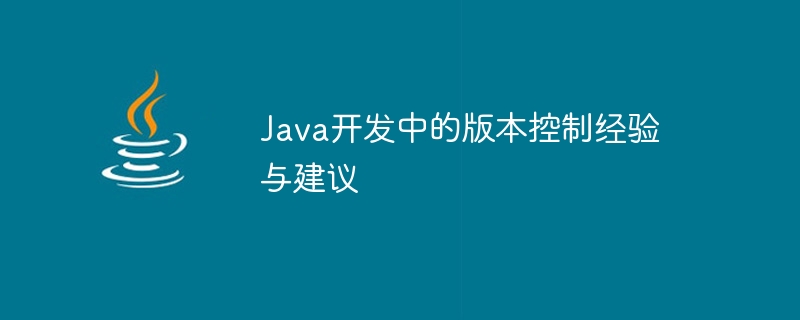 Java开发中的版本控制经验与建议