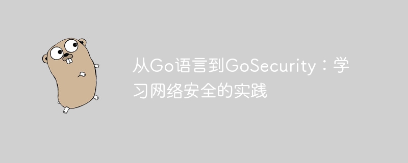 从Go语言到GoSecurity：学习网络安全的实践