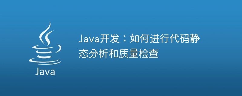 Java开发：如何进行代码静态分析和质量检查