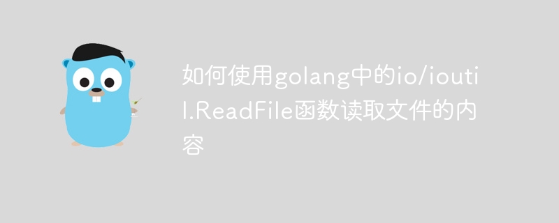 如何使用golang中的io/ioutil.ReadFile函数读取文件的内容
