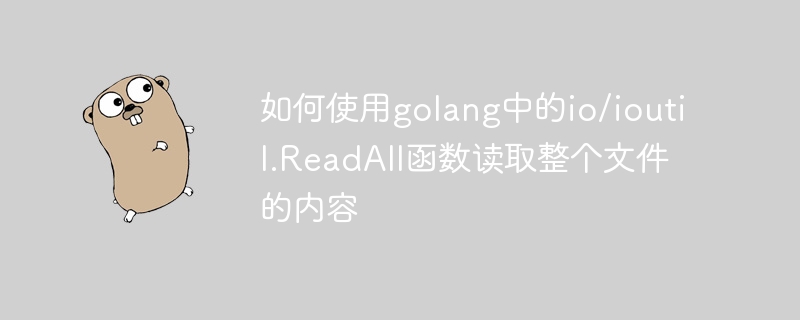 如何使用golang中的io/ioutil.ReadAll函数读取整个文件的内容