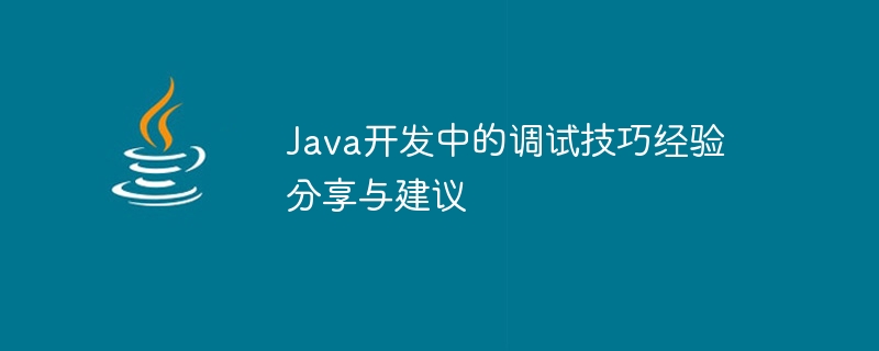 Java开发中的调试技巧经验分享与建议