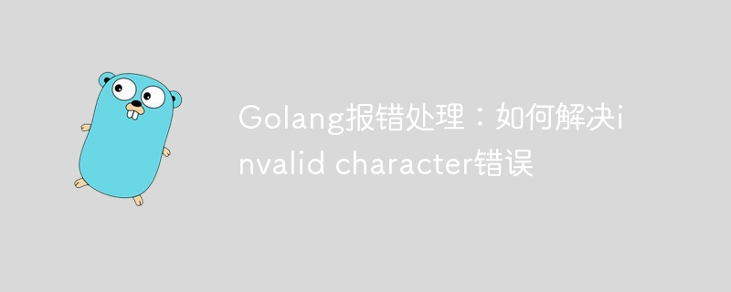 Golang报错处理：如何解决invalid character错误