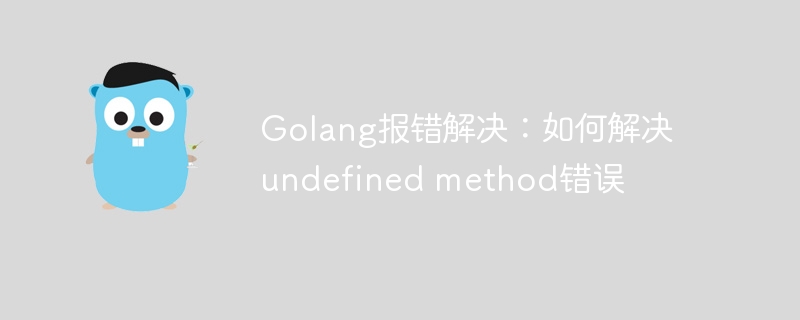 Golang报错解决：如何解决undefined method错误