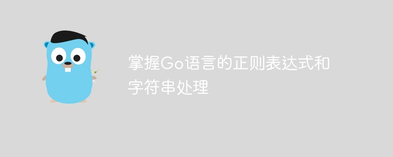 掌握Go语言的正则表达式和字符串处理