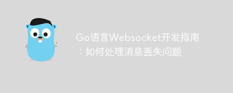 Go语言Websocket开发指南：如何处理消息丢失问题