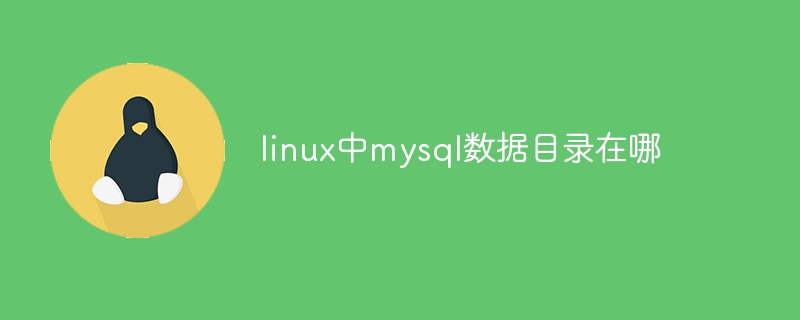 linux中mysql数据目录在哪