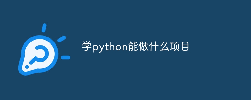 学python能做什么项目