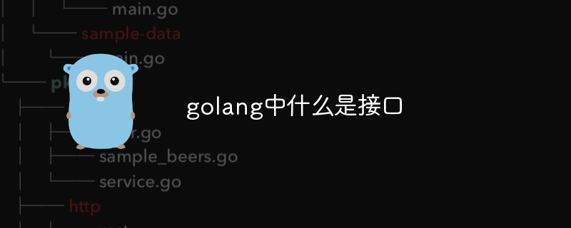 golang中的接口是什么