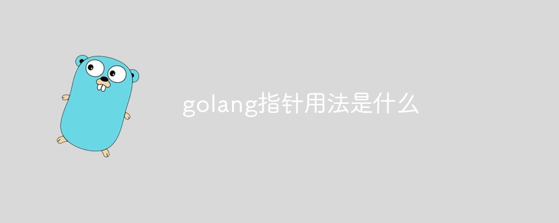 golang指针用法是什么