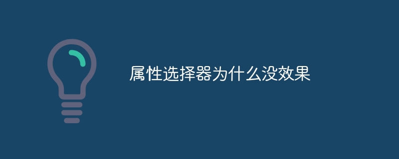 属性选择器为什么没效果